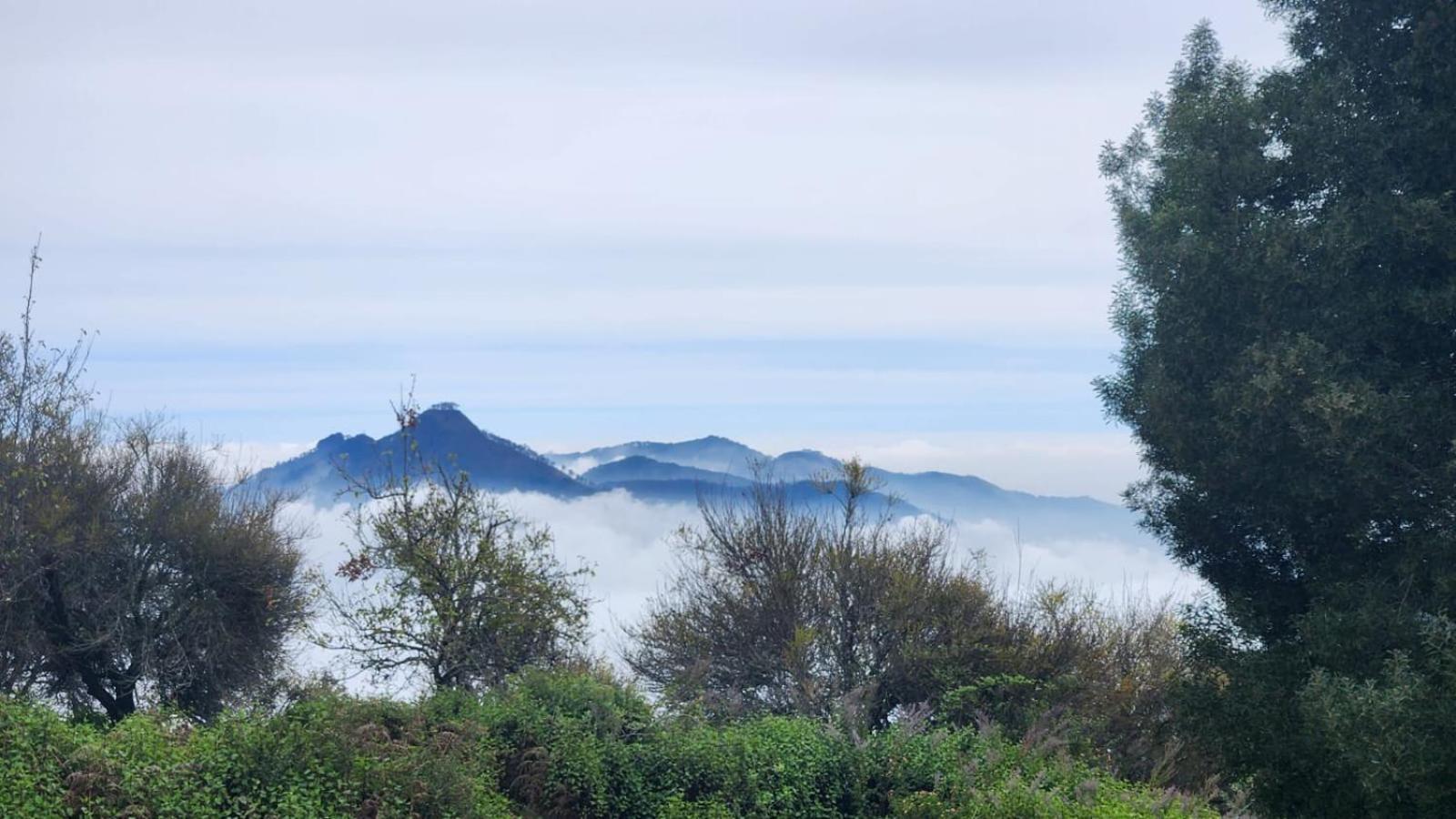 Fabhotel Tranquil Heights Kodaikanal Exterior photo